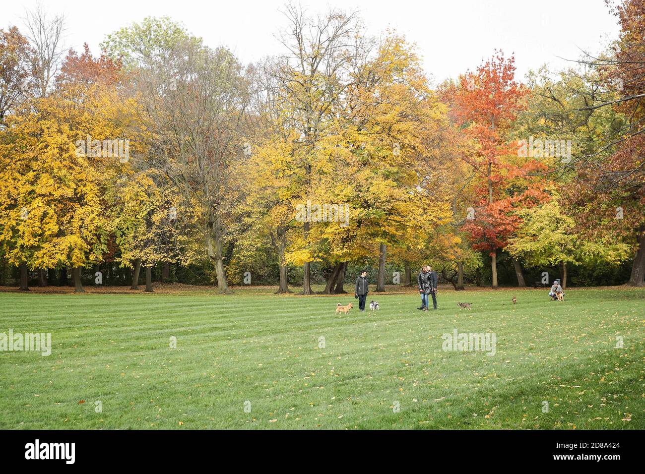 Berlin, Allemagne. 28 octobre 2020. Les piétons marchent avec leurs chiens dans un parc à Berlin, capitale de l'Allemagne, le 28 octobre 2020. Credit: Shan Yuqi/Xinhua/Alay Live News Banque D'Images