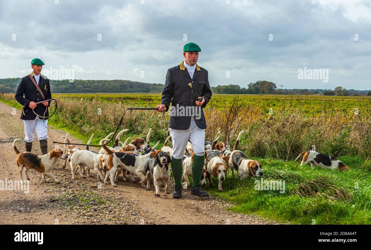 Blankney, Lincoln, Lincolnshire, Royaume-Uni. 28 octobre 2020. Les East Lincs Bassett Hounds sont dirigés par Matt Bowring sur le bord de la Lincolnshire Fens qui a attiré un grand nombre de personnes observant. Credit: Matt Limb OBE/Alamy Live News Banque D'Images