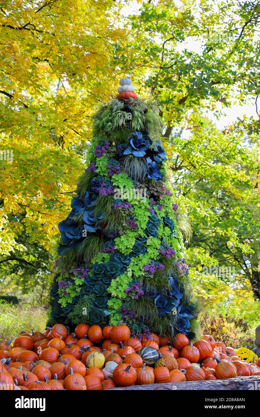 Magnifique exposition de kale ornementale, de mums, de citrouilles, de plumes mexicaines et d'herbe hakone Banque D'Images