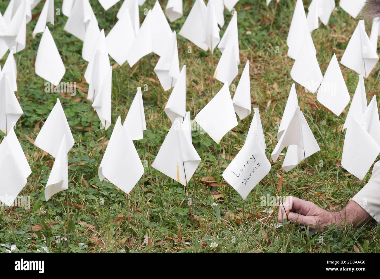 Washington, États-Unis. 28 octobre 2020. Plus de 200,000 petits drapeaux blancs ont été plantés devant le stade RFK en l'honneur de ceux qui sont morts pendant la pandémie de Covid19 aujourd'hui, le 28 octobre 2020 à Washington DC, États-Unis. (Photo de Lénine Nolly/Sipa USA) Credit: SIPA USA/Alay Live News Banque D'Images