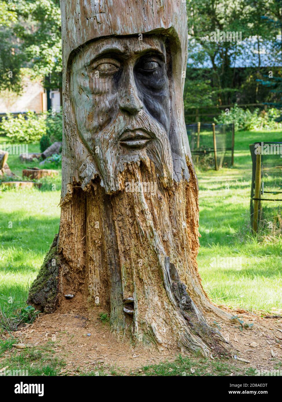 Face sculptée dans un tronc d'arbre mort, Lynford Arboretum, Thetford Forest, Norfolk, Royaume-Uni Banque D'Images