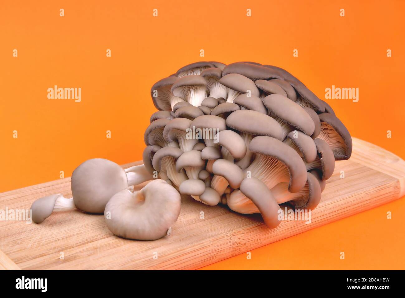 Champignons naturels comestibles, planches à découper en bambou, sur fond orange, champignons pour la cuisson et les cornichons, gros plan et espace de copie Banque D'Images