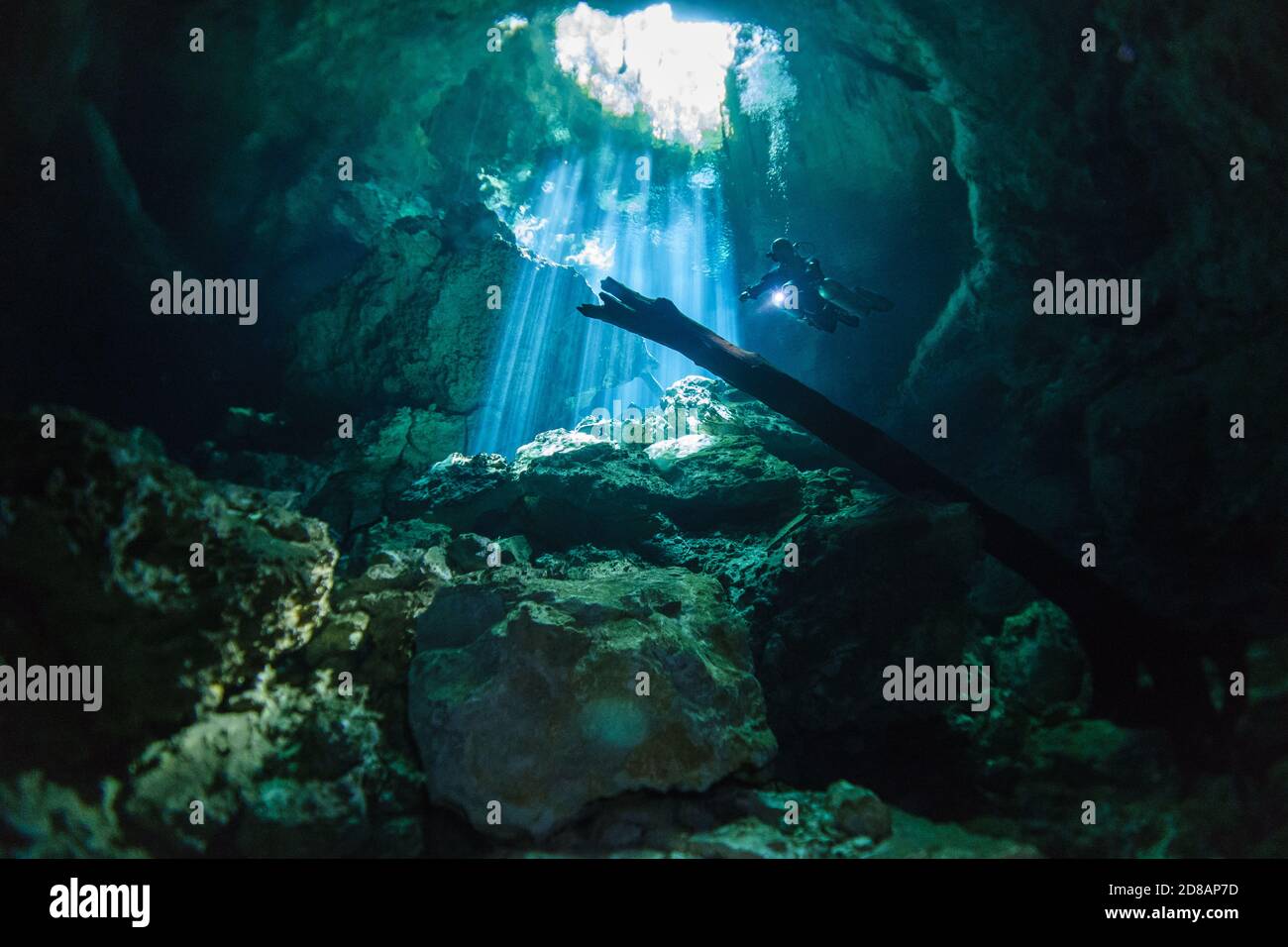 Plongée sous-marine cenote à Riviera Maya, Mexique Banque D'Images