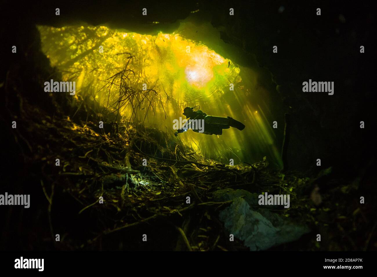 Plongée sous-marine cenote à Riviera Maya, Mexique Banque D'Images