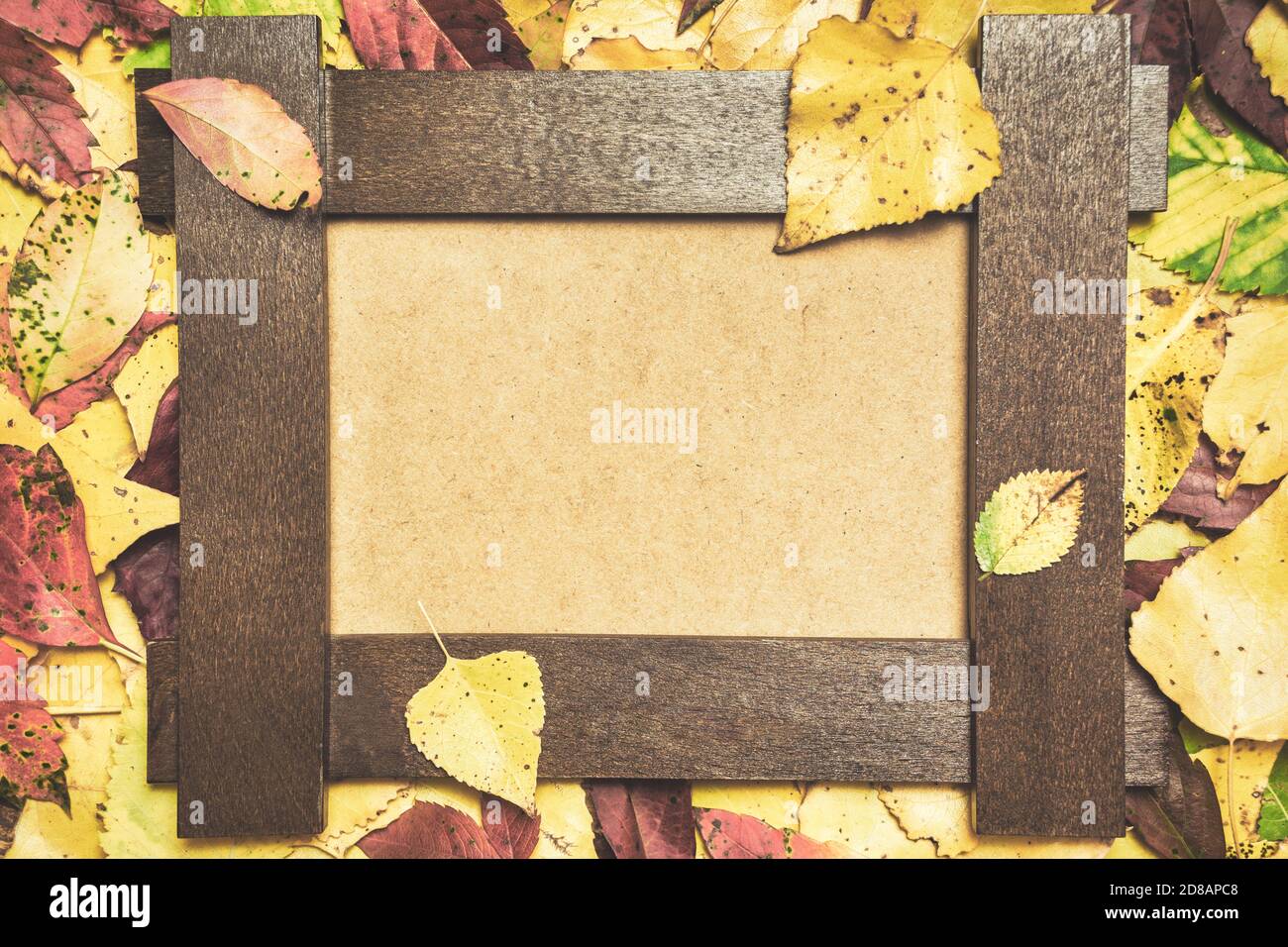 Composition automnale composée de feuilles colorées et d'un cadre photo vierge. Automne, automne concept. Flat lay, vue de dessus, espace de copie. Banque D'Images