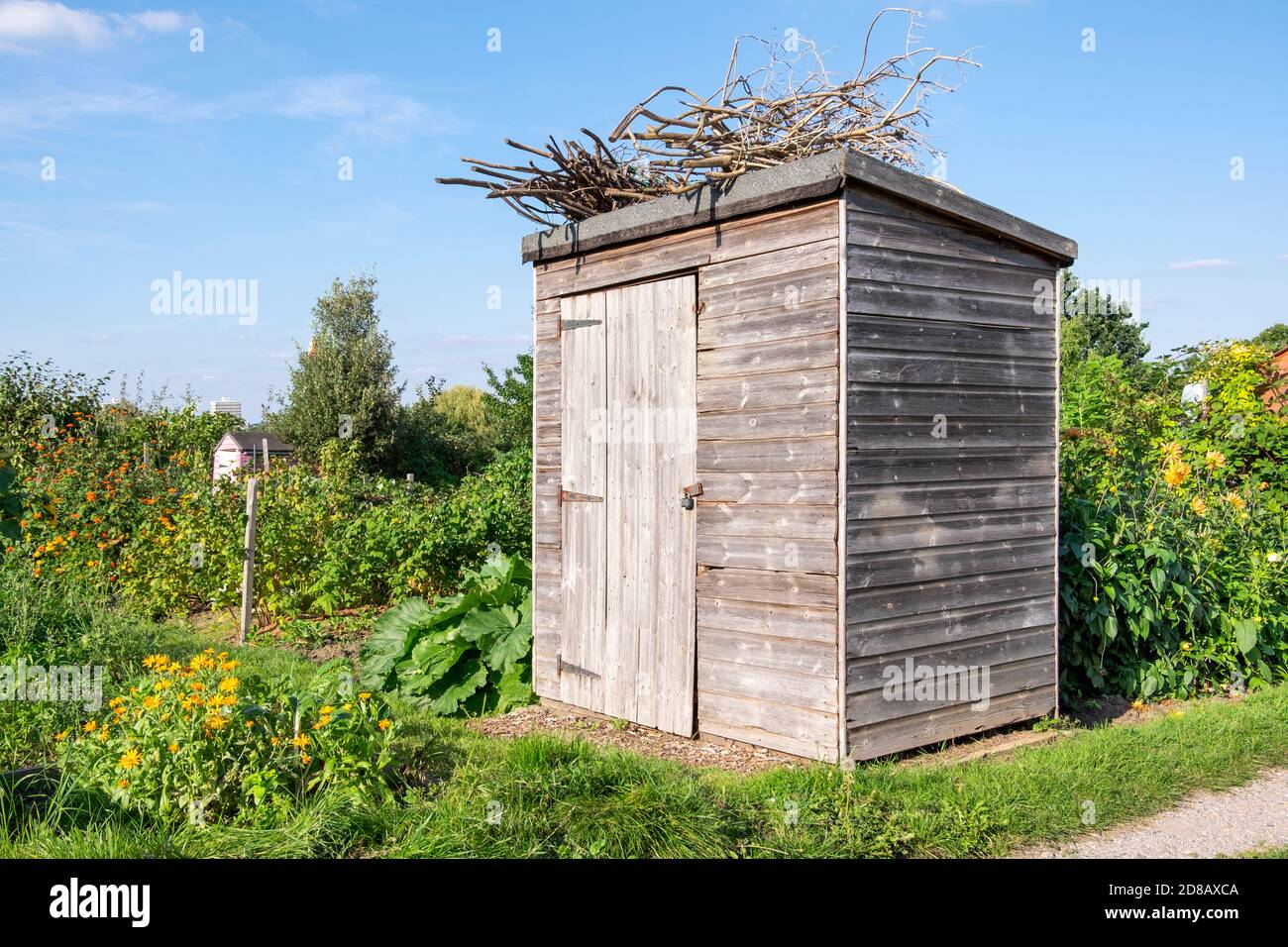 Un hangar en bois dans une allotissement en été Banque D'Images