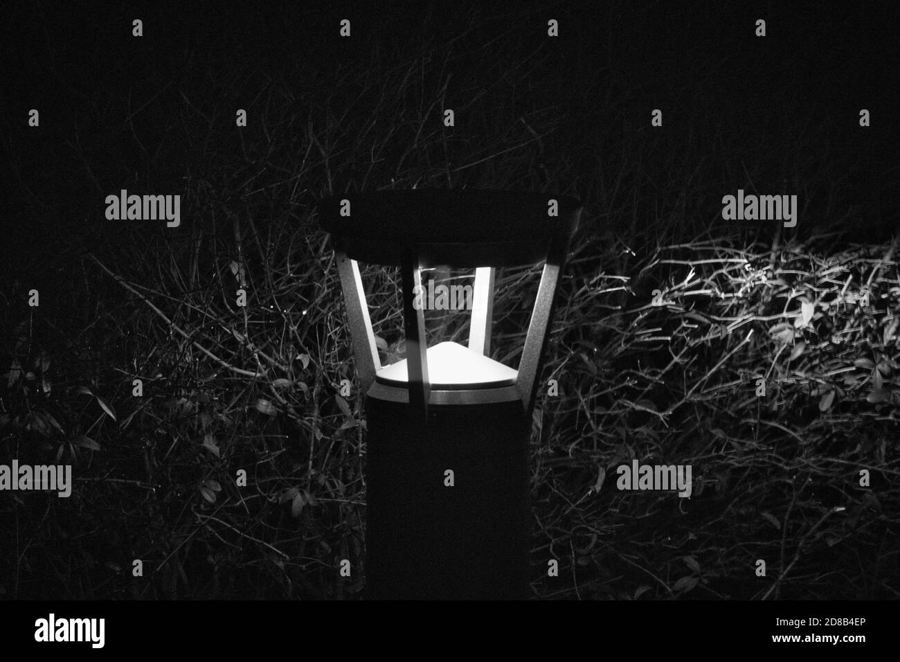 Poteau lumineux devant le feuillage, monochrome Banque D'Images