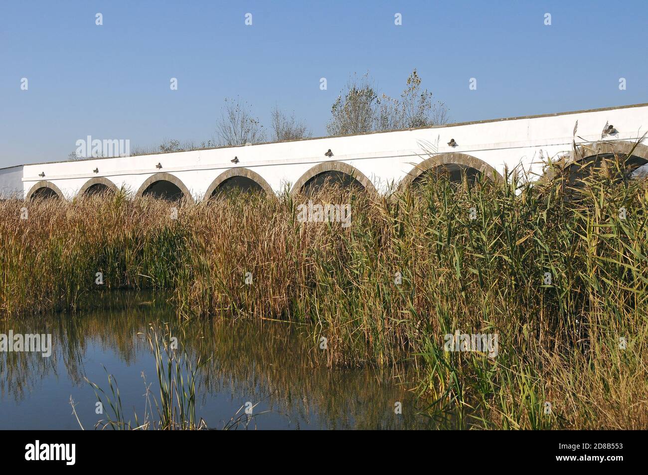 Pont à neuf arcades, Neunbögige Brücke, Hortobágy, Kilenclayukú híd, comté de Hajdú-Bihar, Hongrie, Magyarország, Europe, site du patrimoine mondial Banque D'Images