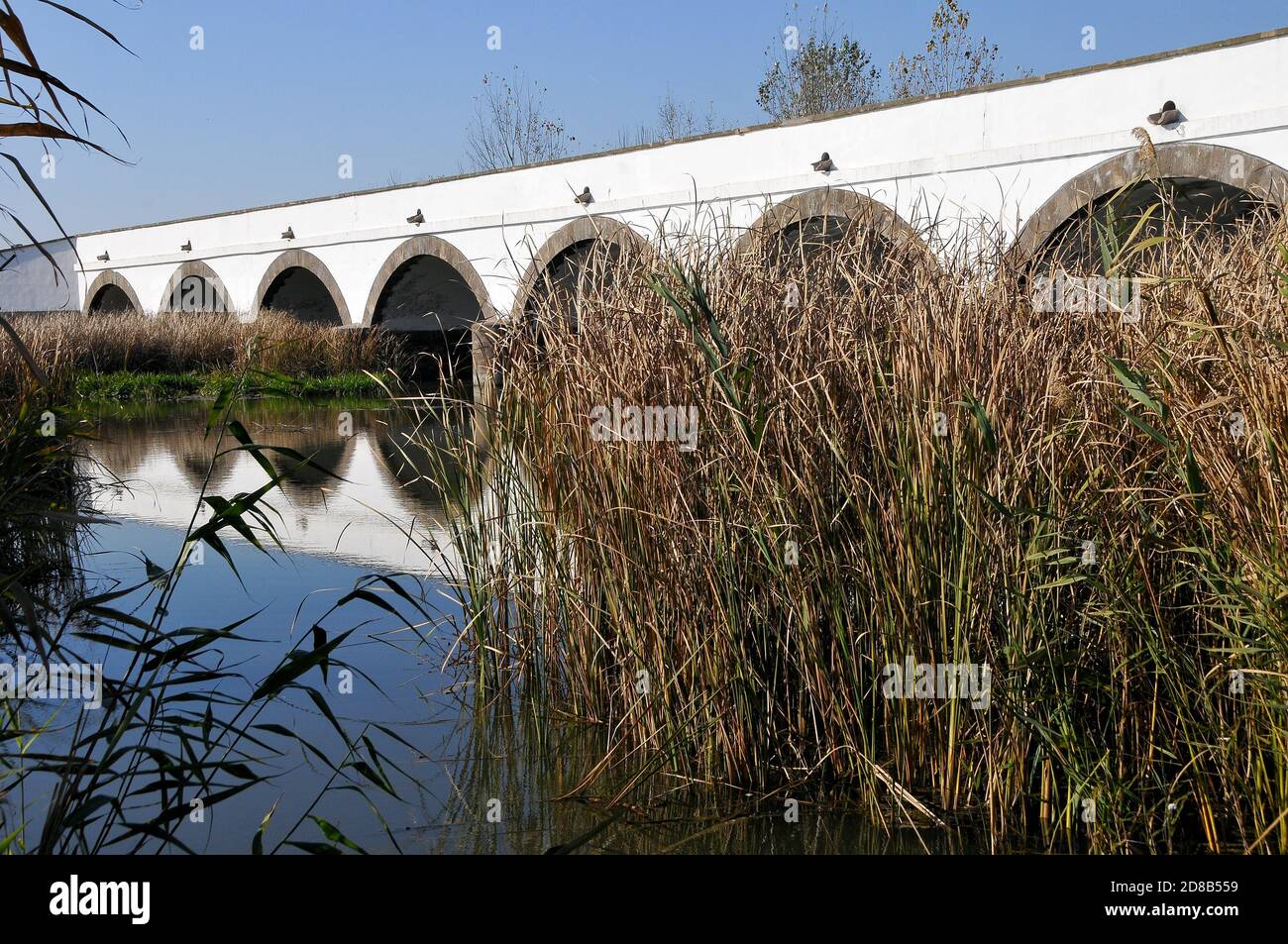 Pont à neuf arcades, Neunbögige Brücke, Hortobágy, Kilenclayukú híd, comté de Hajdú-Bihar, Hongrie, Magyarország, Europe, site du patrimoine mondial Banque D'Images