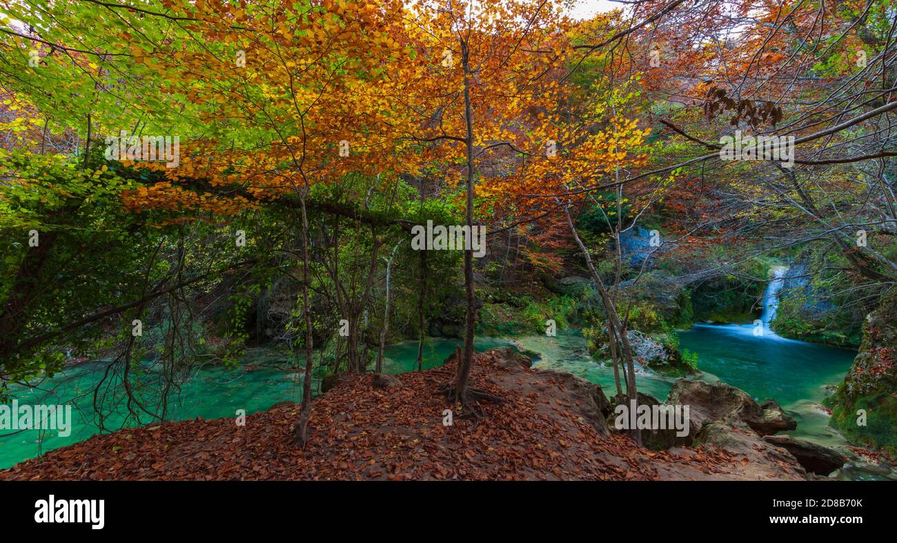 Forêt d'automne dans les sources de la rivière Urederra. Navarre, Espagne. Banque D'Images
