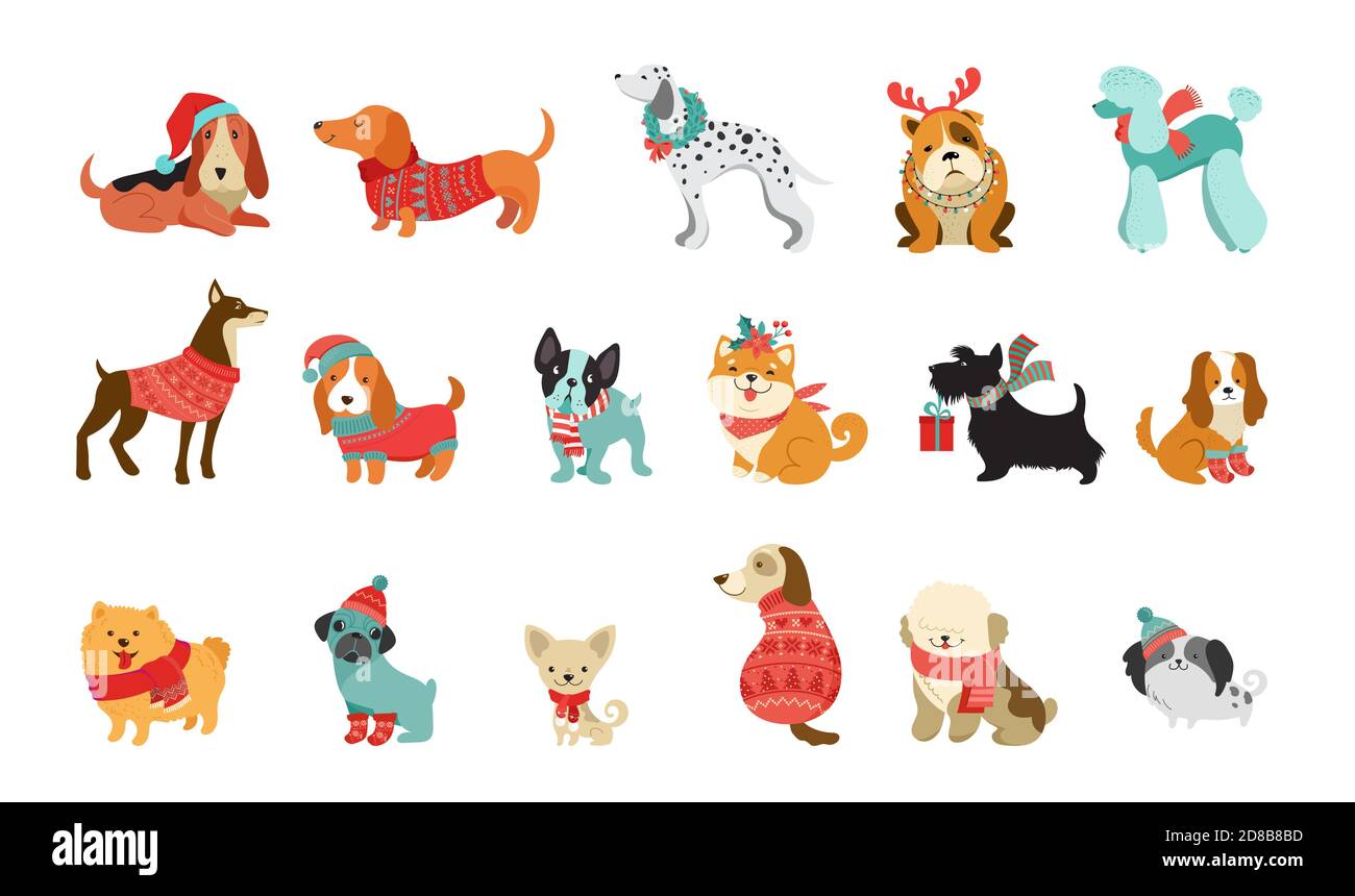 Collection de chiens de Noël, Merry Christmas illustrations d'animaux de  compagnie mignons avec des accessoires comme des chapeaux tricotés, des  chandails, des foulards, un graphique vectoriel Image Vectorielle Stock -  Alamy