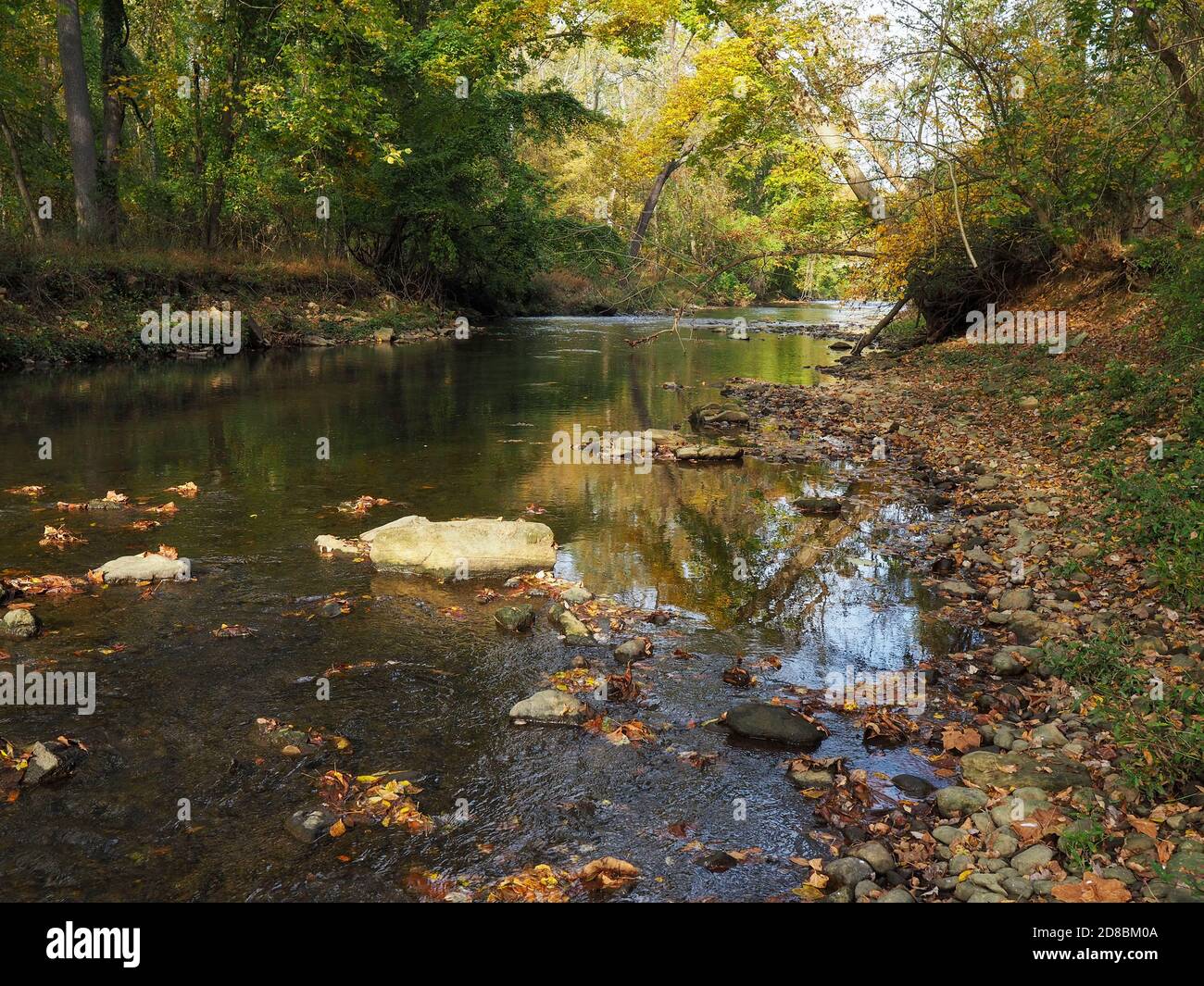 Un petit ruisseau boisé avec des roches reflète les couleurs changeantes du feuillage le jour d'octobre, lorsque les feuilles rouges, jaunes et brunâtres commencent à s'accumuler Banque D'Images