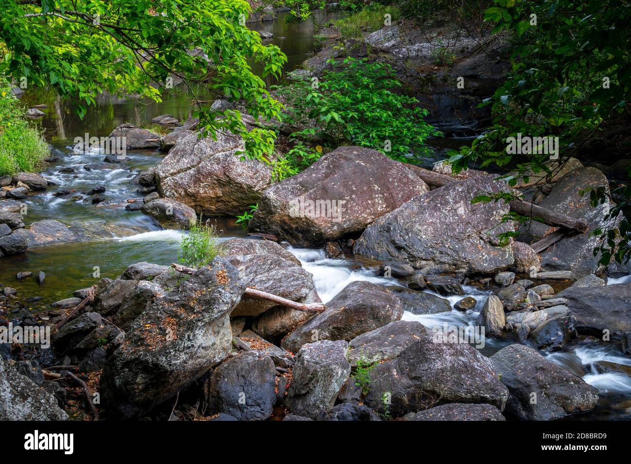 Rainforest creek à Crystal Cascades, Cairns, Queensland du Nord Banque D'Images