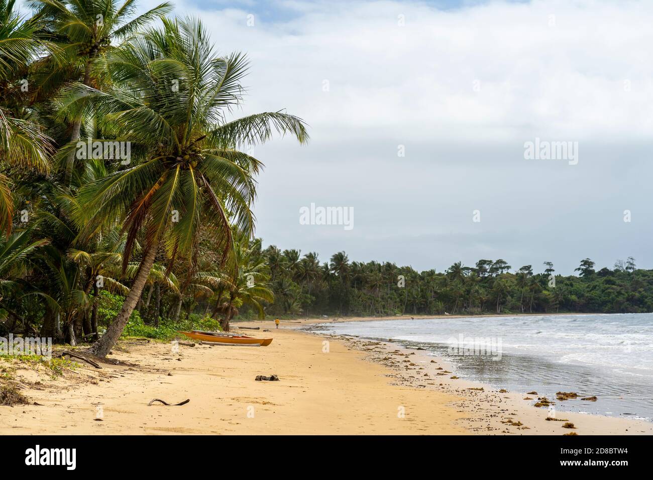 Le long de la côte bordant les palmiers à Mission Beach par temps nuageux, dans le nord du Queensland, en Australie Banque D'Images