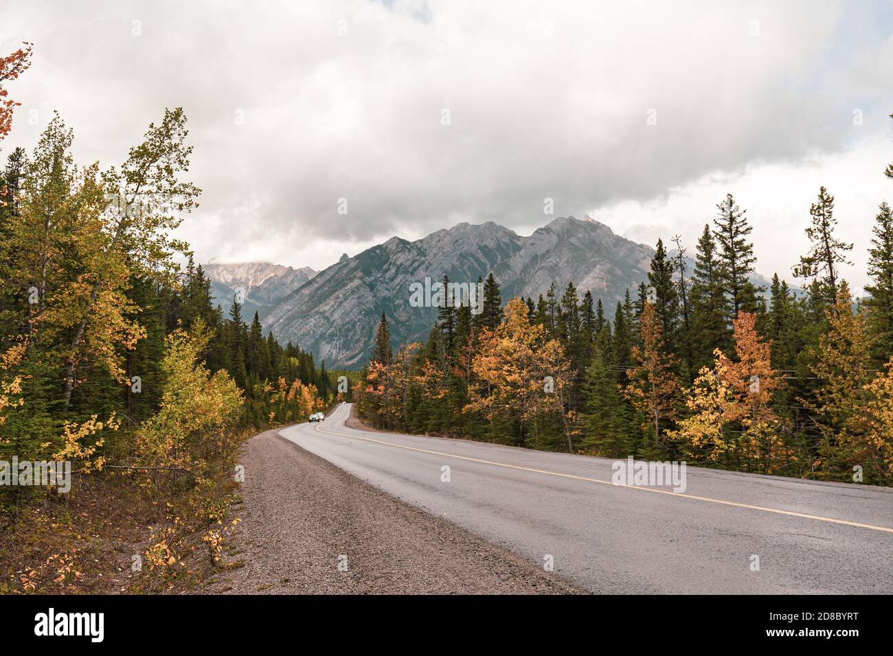 Feuillage d'automne à côté de la route menant à la montagne de soufre avec fond de mont Norquay au parc national Banff de l'Alberta, Canada Banque D'Images