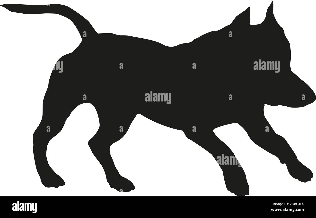 Running american staffordshire terrier chiot. Silhouette de chien noire. Isolé sur un fond blanc. Illustration vectorielle. Illustration de Vecteur