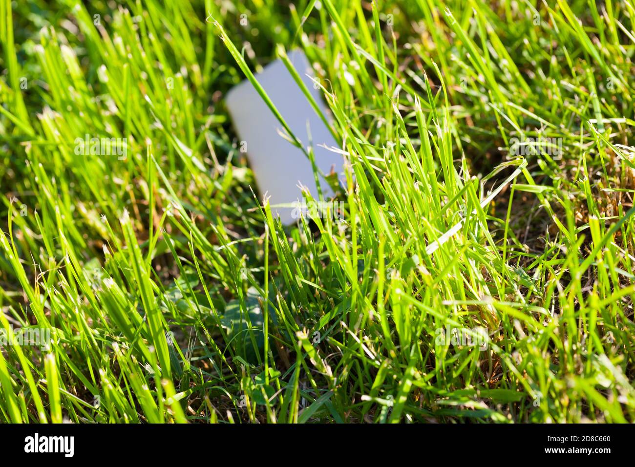 téléphone mobile (hors foyer en arrière-plan) perdu dans une pelouse dans l'herbe verte (mise au point au premier plan) ce qui signifie que vous pouvez le perdre et le meybe il y a un sol Banque D'Images