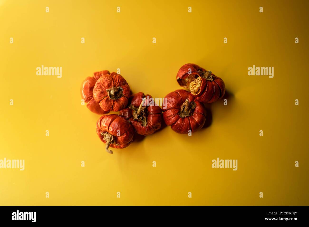 Petits citrouilles sur fond jaune vu d'en haut Banque D'Images