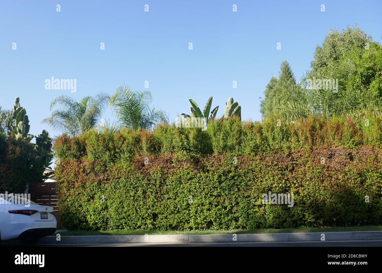 Tarzana, Californie, États-Unis 28 octobre 2020 UNE vue générale de l'atmosphère de l'ancienne maison de Lisa Marie Presley au 18531 Wells Drive le 28 octobre 2020 à Tarzana, Californie, États-Unis. Photo par Barry King/Alay stock photo Banque D'Images