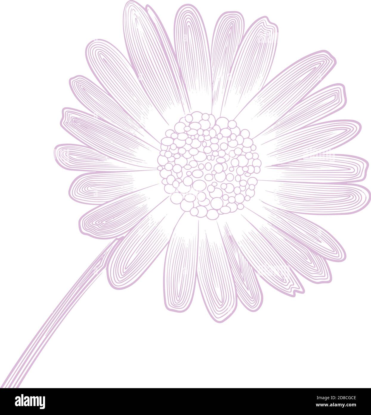 motif linéaire vectoriel délicat de fleur de pâquerette Illustration de Vecteur