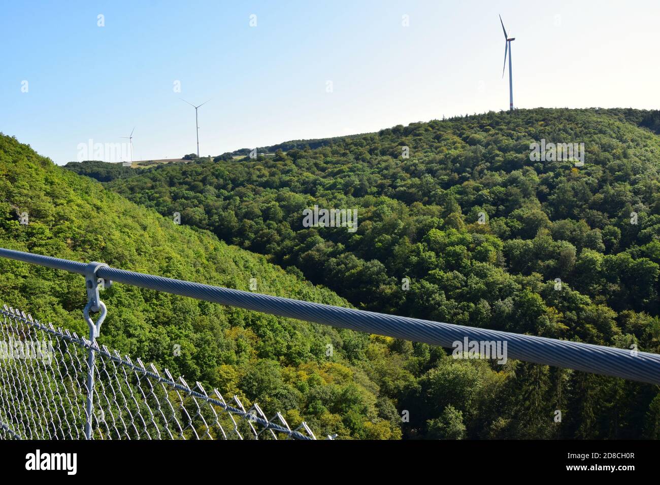 Geierlay - Pont suspendu dans l'ouest de l'Allemagne Banque D'Images