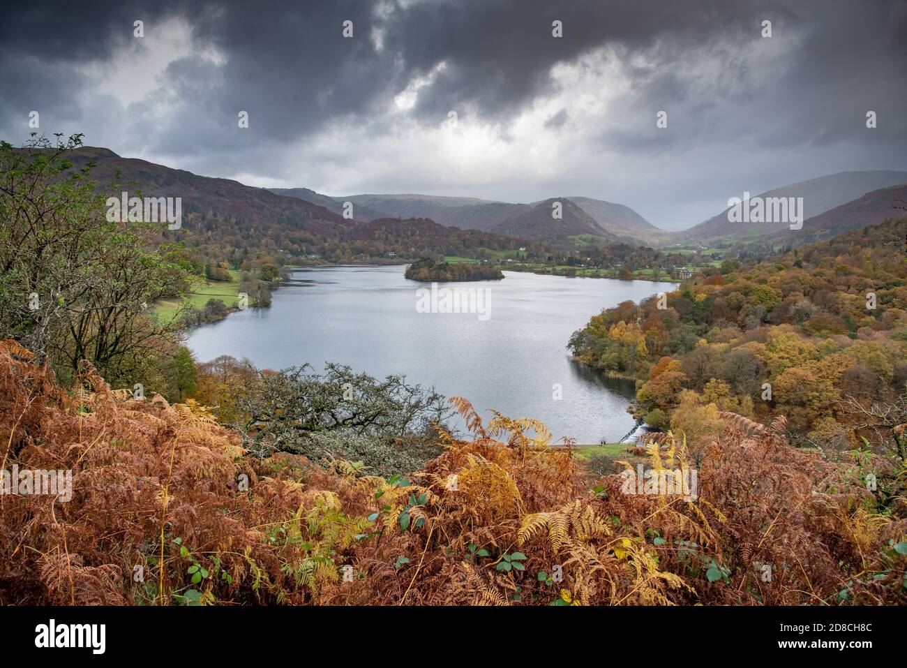Couleurs d'automne, Grasmere, Cumbria dans le Lake District. Banque D'Images