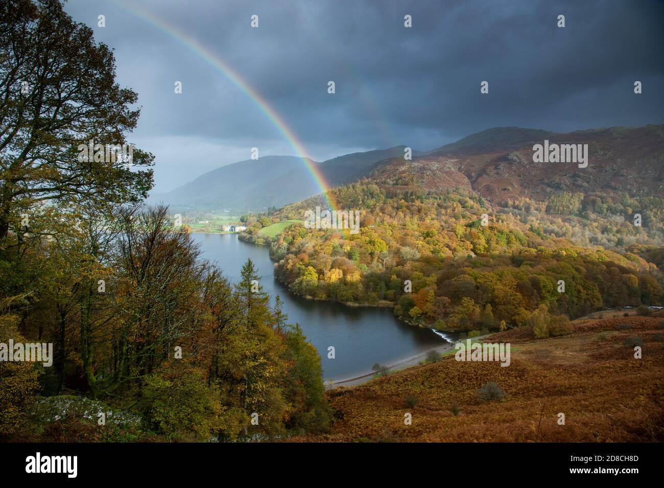 Couleurs d'automne, Grasmere, Cumbria dans le Lake District. Banque D'Images