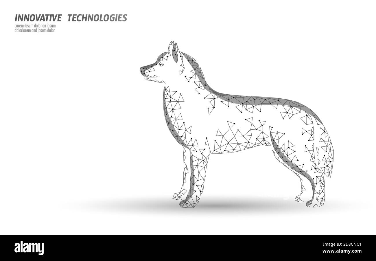 Vétérinaire clinique chien animal debout seul. Compagnon de silhouette de chien 3D polypolygonal basse. Illustration vectorielle du modèle de bannière du centre médical animal Illustration de Vecteur