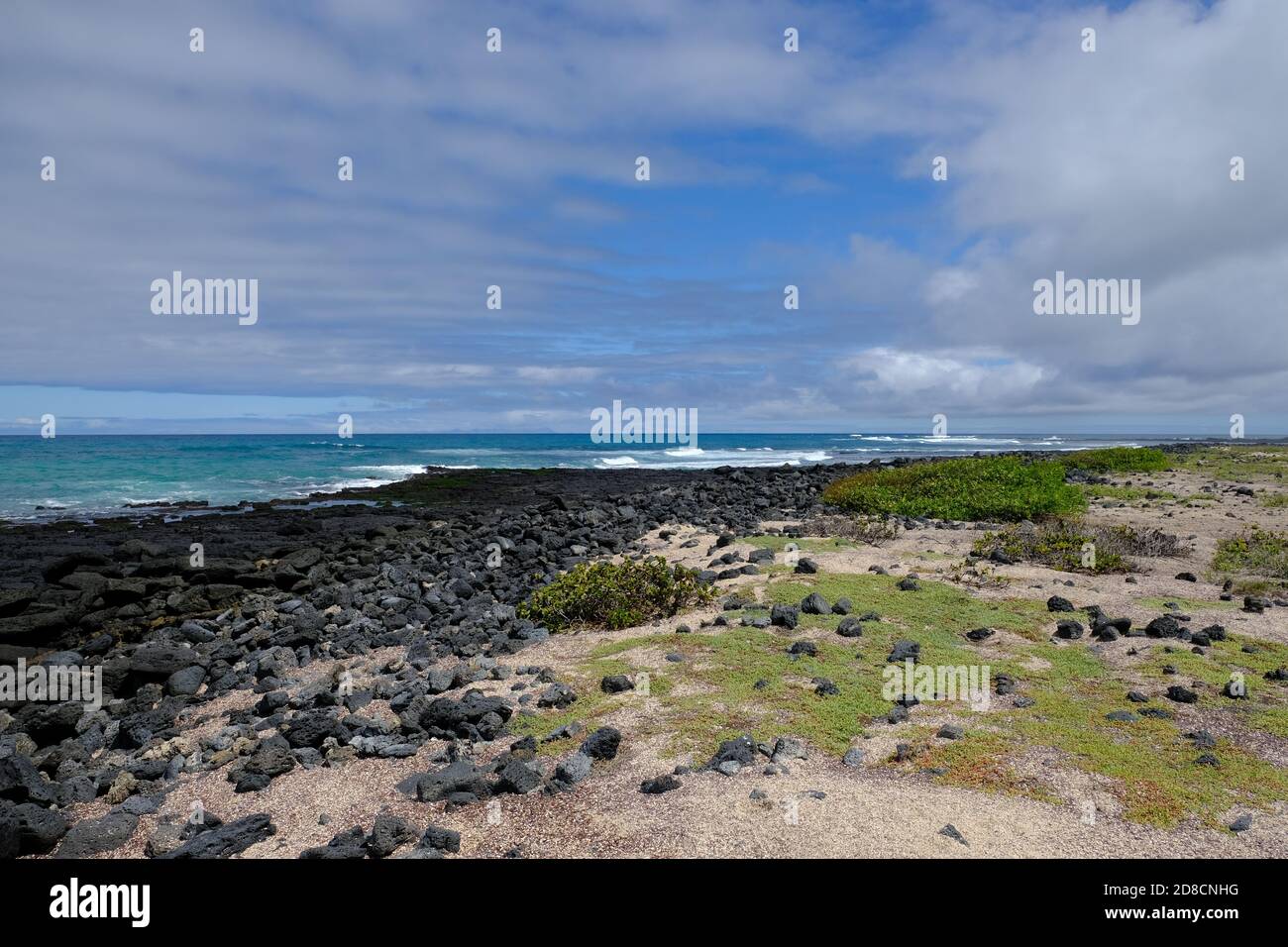 Équateur Îles Galapagos - Santa Cruz Island Wildlife Coast à Baie de Tortuga Banque D'Images