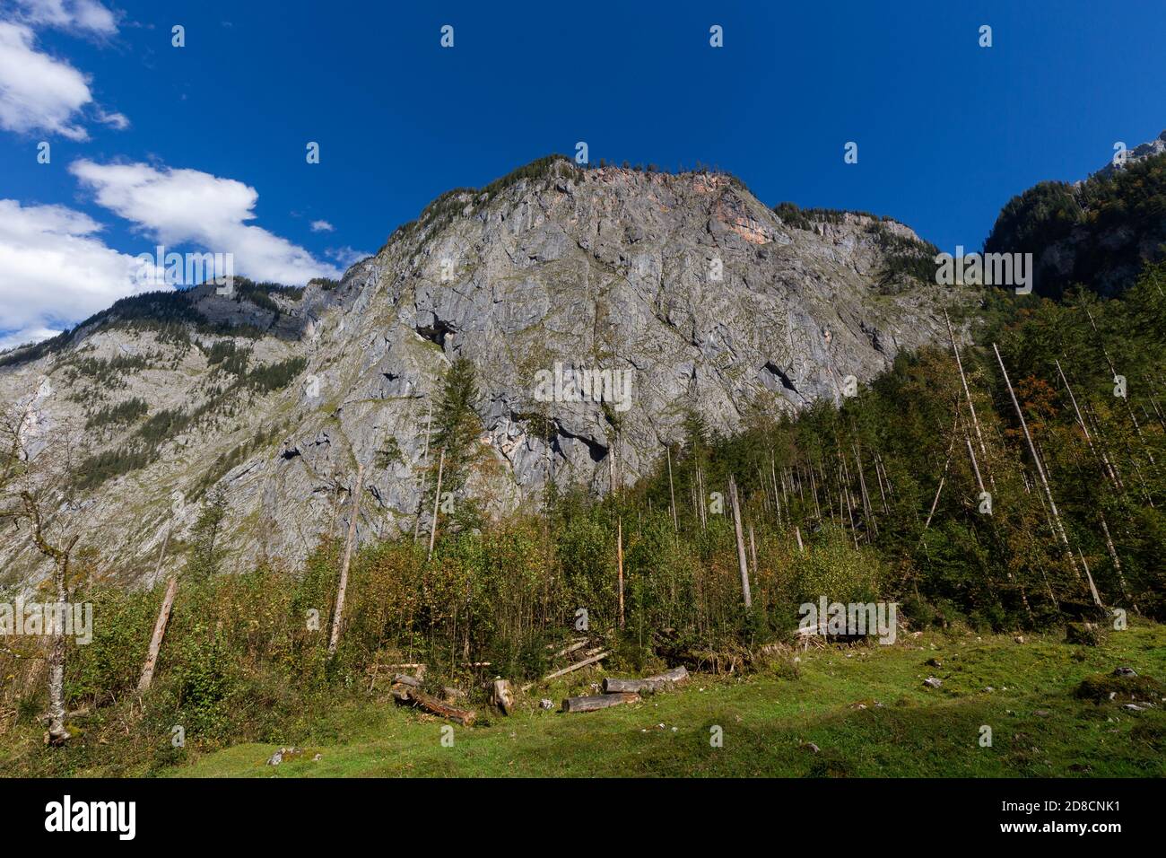 Le mur du Landtal, une pente de montagne près de l'Obersee dans le pays de Berchtesgadener, Bavière, Allemagne. Banque D'Images