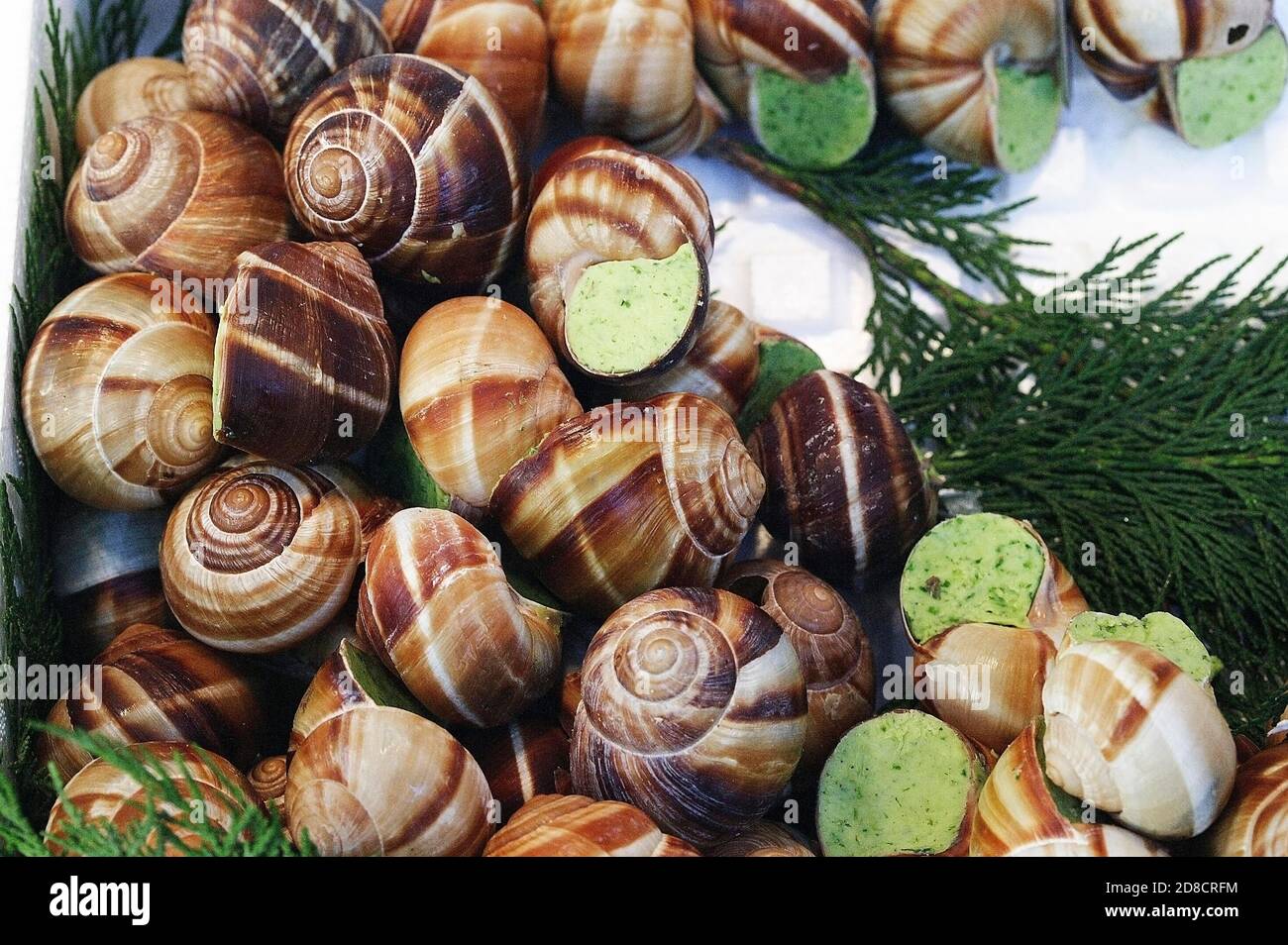 Helix pomatia escargot romain, RECETTE BEURRE À L'AIL Banque D'Images