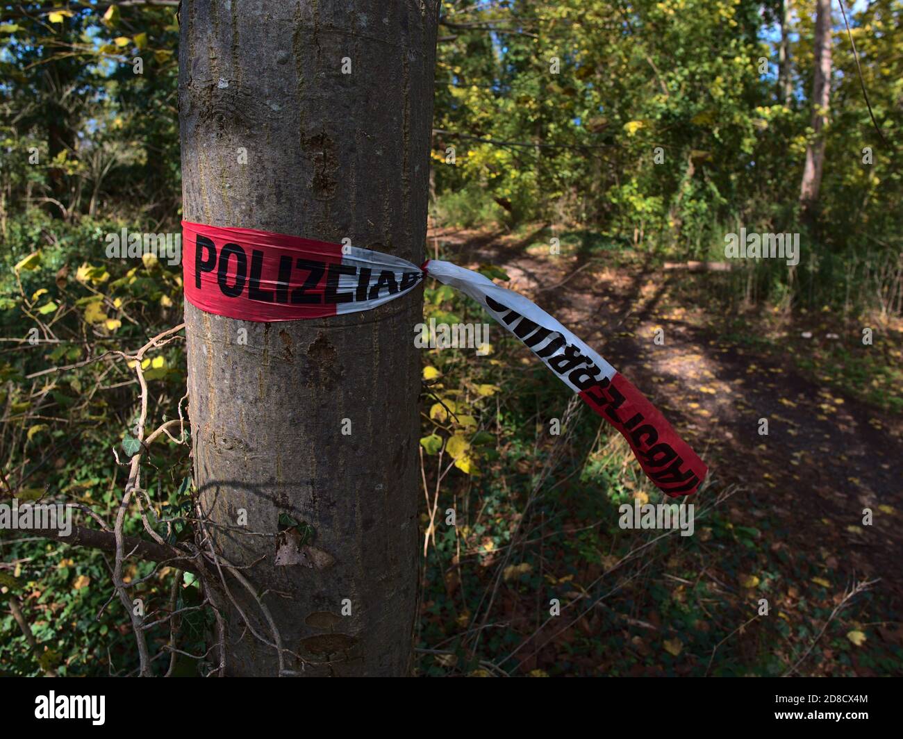 Ruban adhésif de protection de police déchiré (texte en allemand : « barrière de police ») avec des bandes rouges et blanches utilisées pour fermer les zones d'enquêtes criminelles liées à l'arbre. Banque D'Images