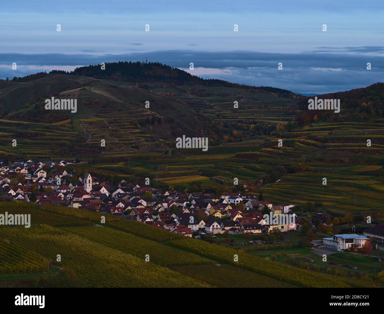 Vue aérienne du petit village d'Oberbergen situé dans une vallée à Kaiserstuhl, en Allemagne, entouré de vignobles en terrasse dans la lumière du soir à l'automne. Banque D'Images