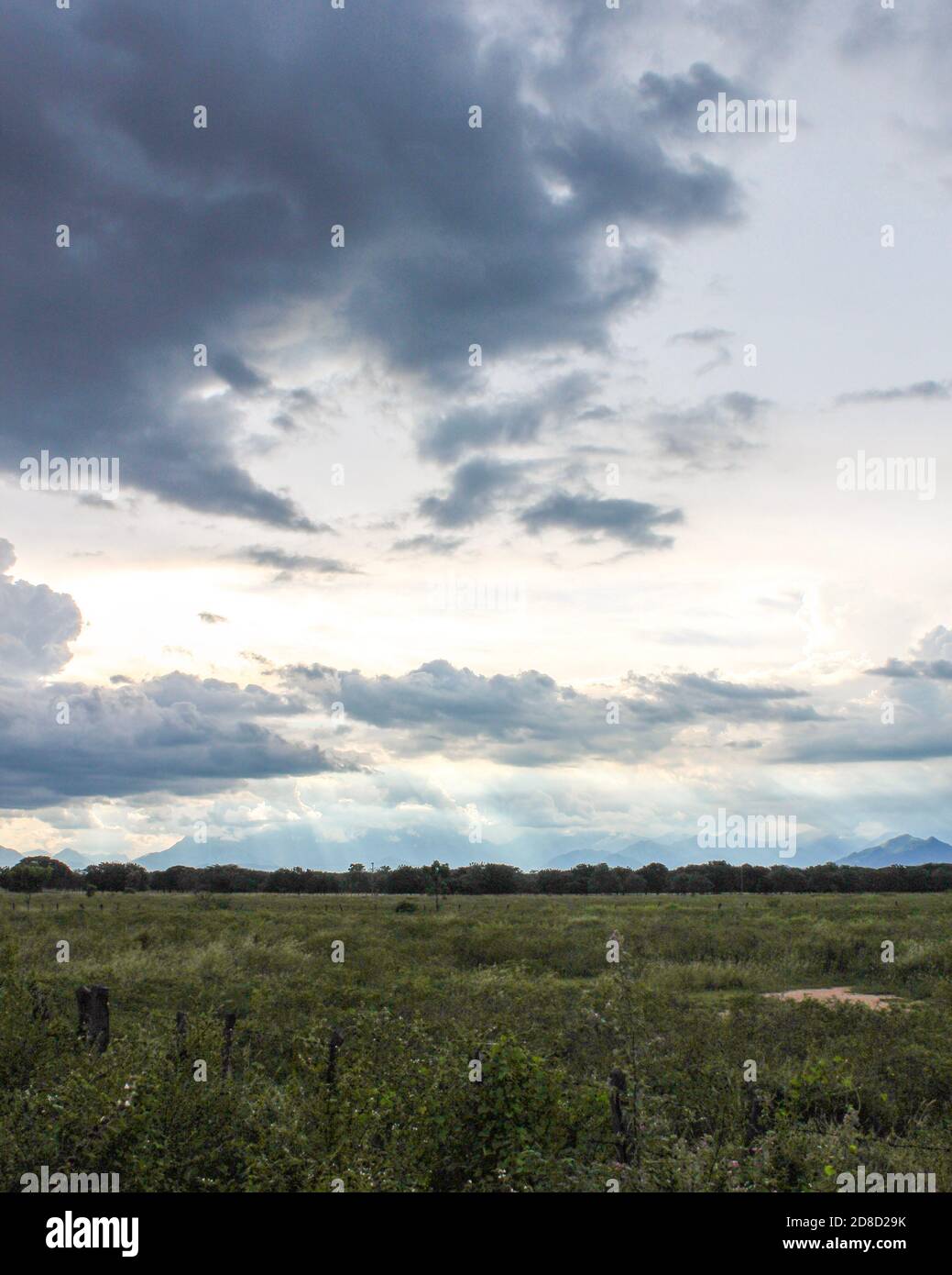 À la poursuite des couchers de soleil à Valledupar juste avant qu'une tempête ne frappe. C'est du côté sud de l'aéroport où il y a beaucoup de champs vides. Banque D'Images