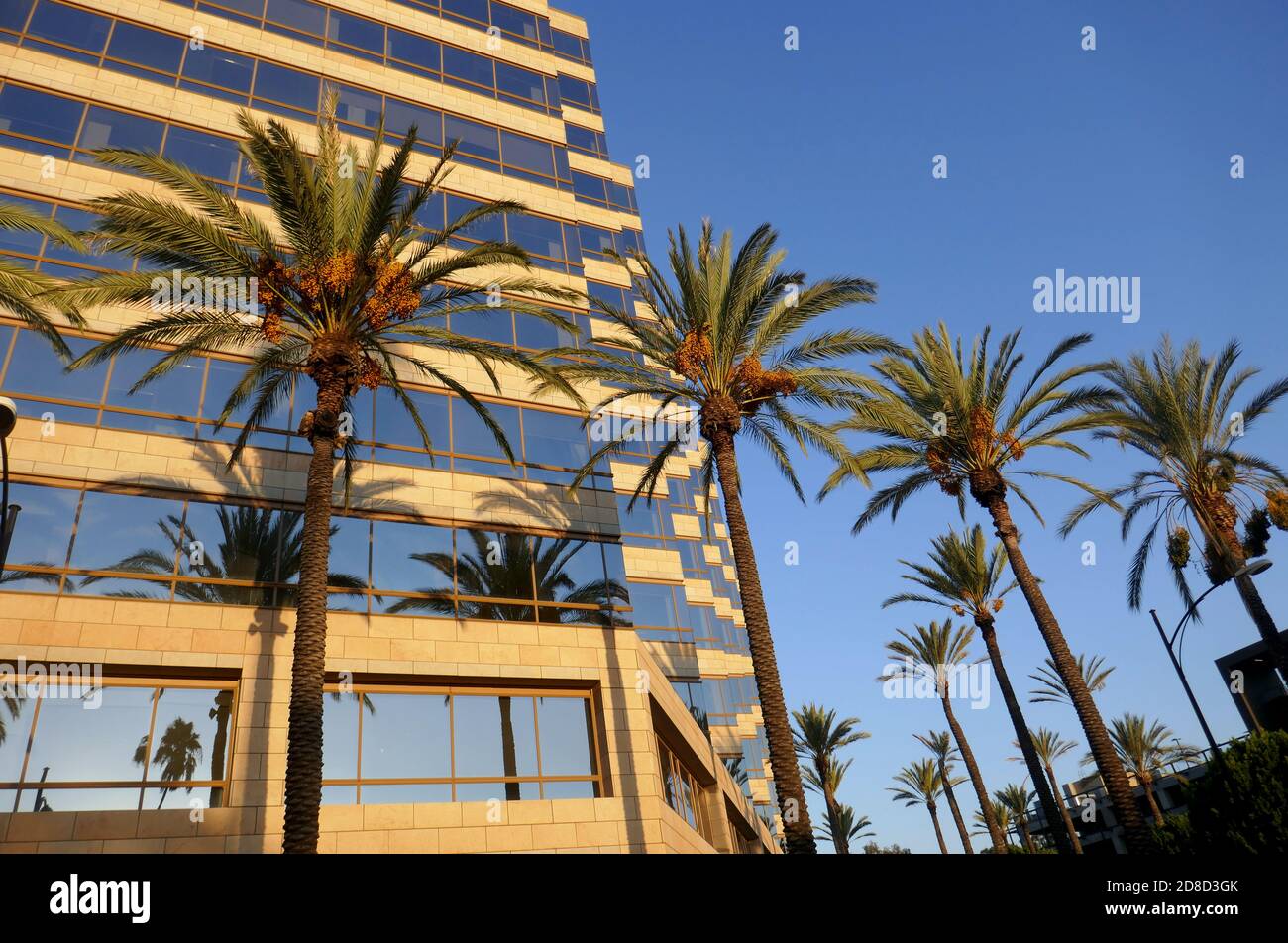Burbank, Californie, États-Unis 28 octobre 2020 UNE vue générale de l'atmosphère de Warner Brothers le 28 octobre 2020 à Burbank, Californie, États-Unis. Photo par Barry King/Alay stock photo Banque D'Images