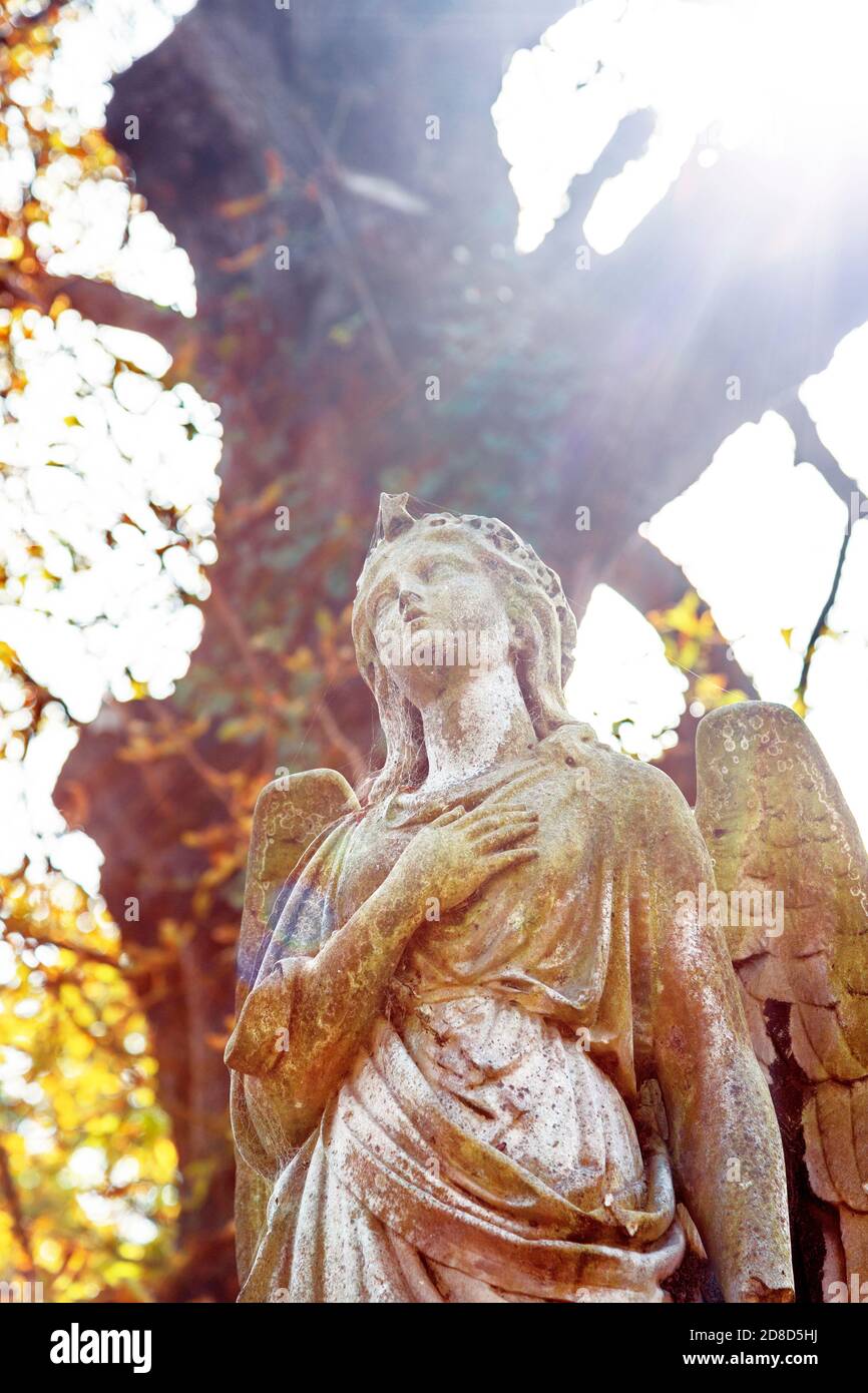 Statue d'un ange au cimetière Kensal Green à l'automne, Londres, Royaume-Uni Banque D'Images
