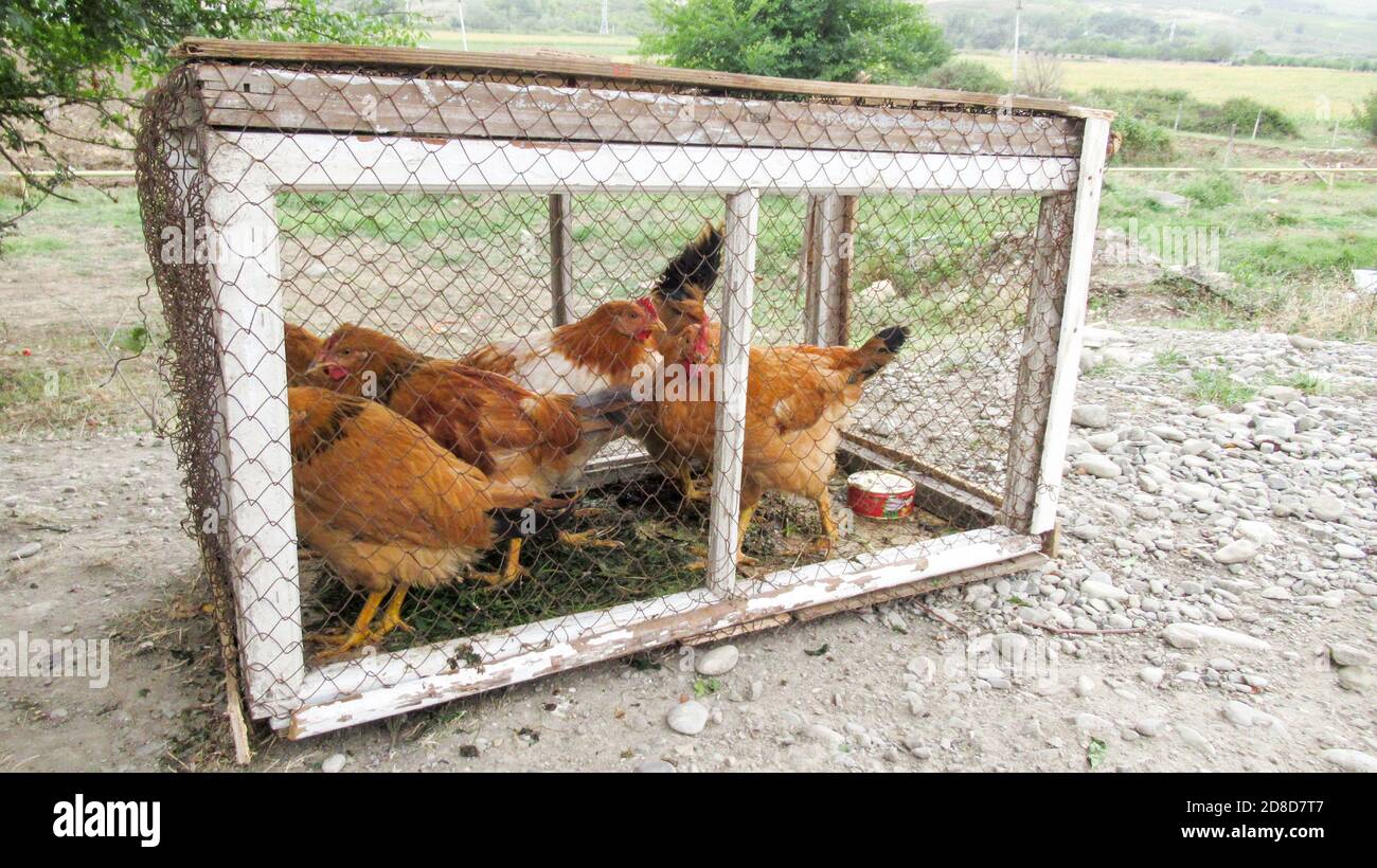 Wooden Cage Banque du0027image et photos - Alamy