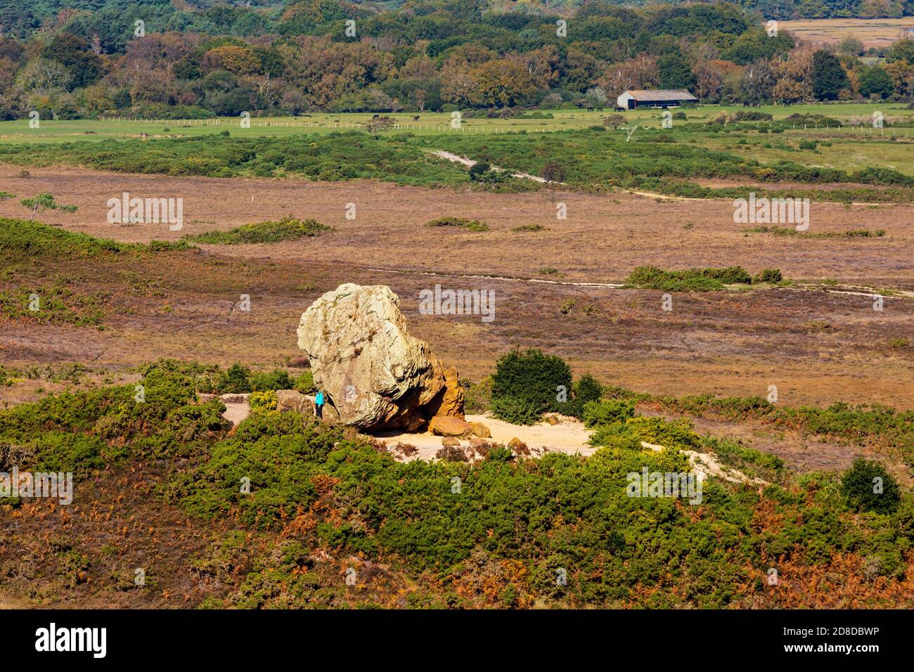 Agglestone Rock sur Godlingston Heath près de Studland, Dorset, Angleterre Banque D'Images