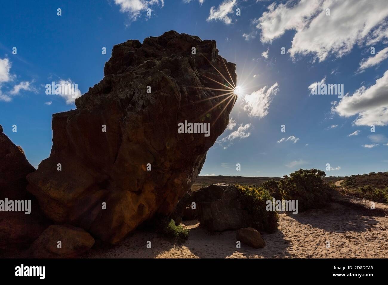 Agglestone Rock sur Godlingston Heath près de Studland, Dorset, Angleterre Banque D'Images