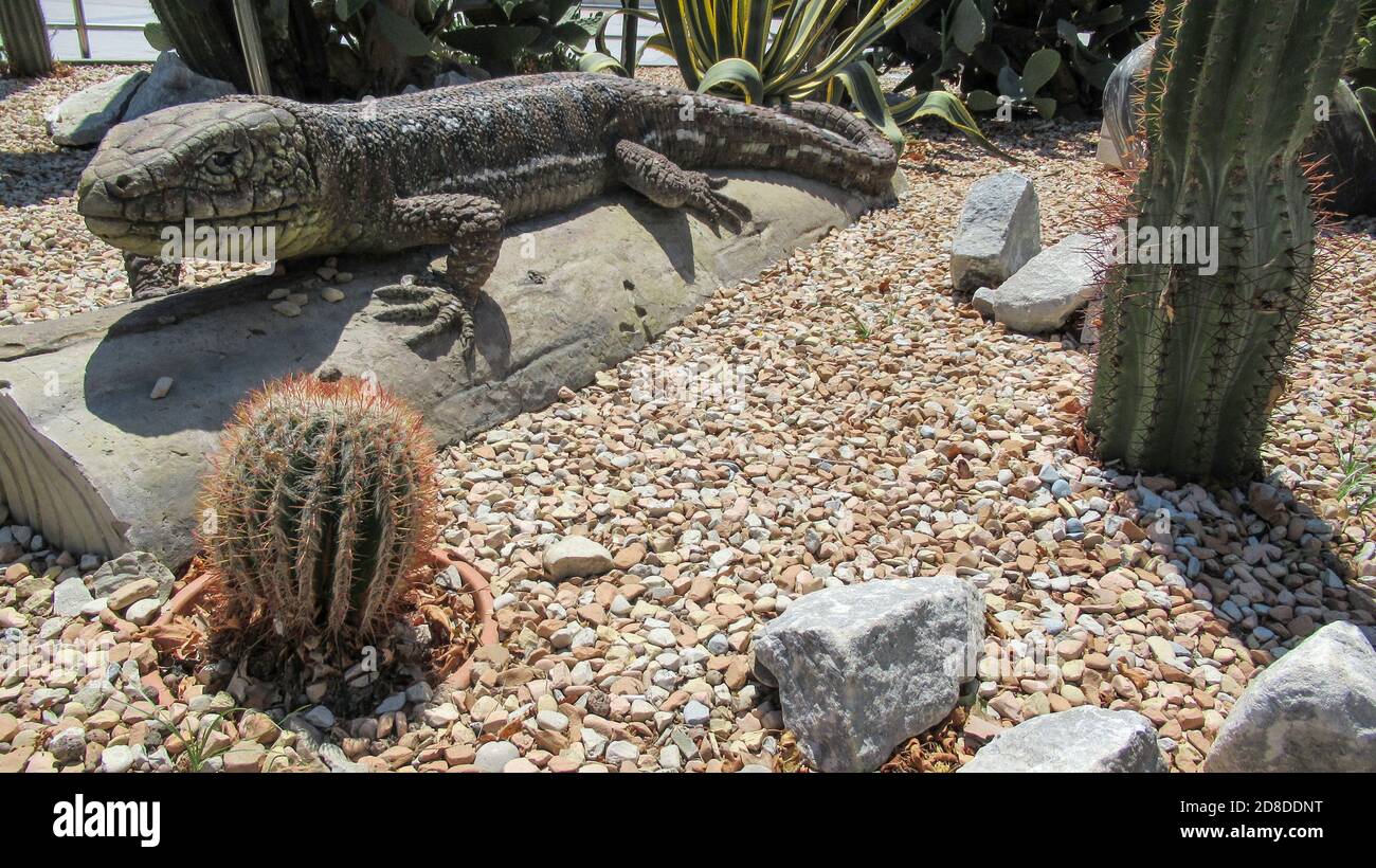 Bakou, Azerbaïdjan, juillet 5 2020 : sculpture de crocodile de pierre entourée d'un cactus Banque D'Images