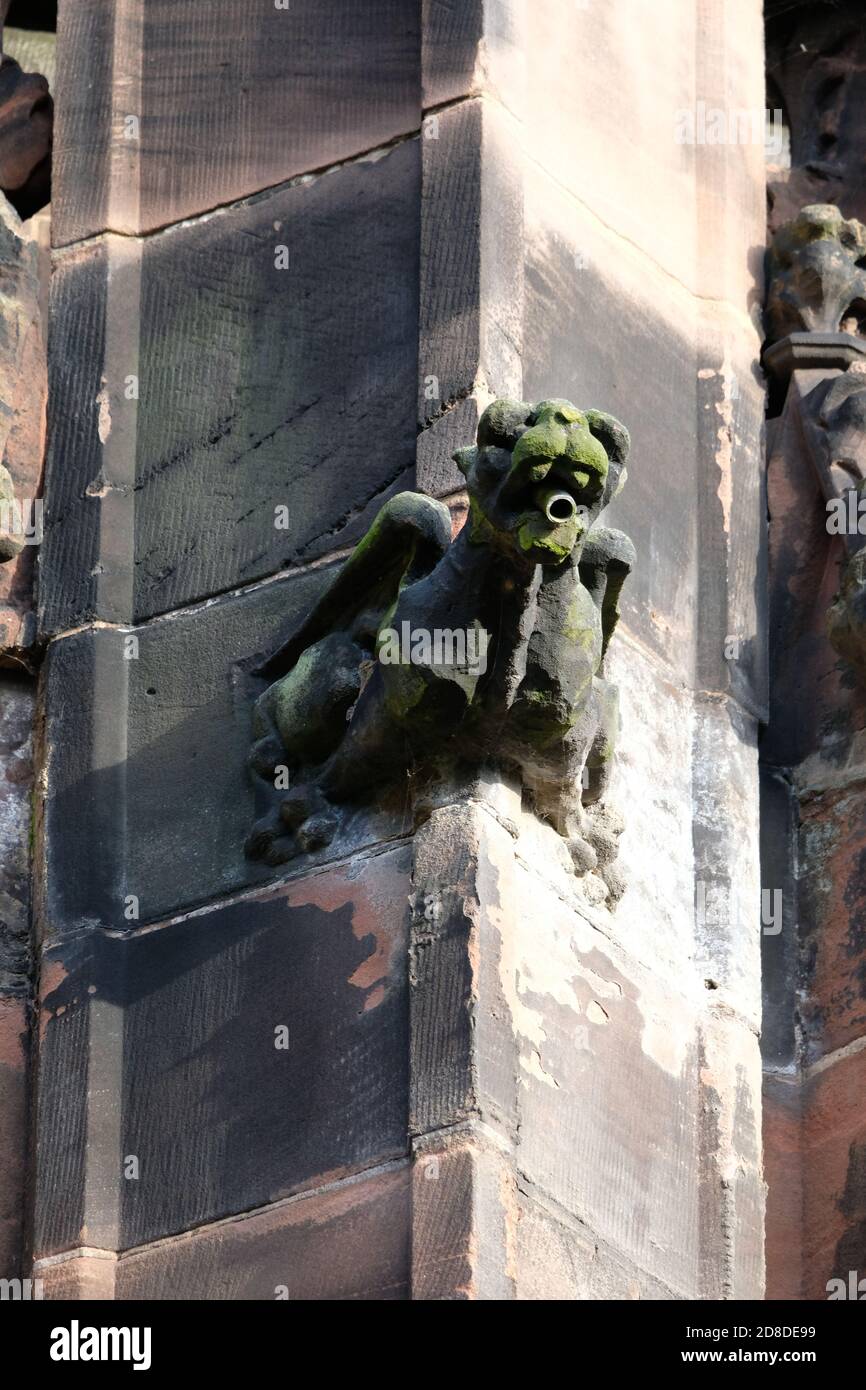 Un gargouille à l'extérieur de la cathédrale de Chester, Cheshire, Royaume-Uni. Banque D'Images