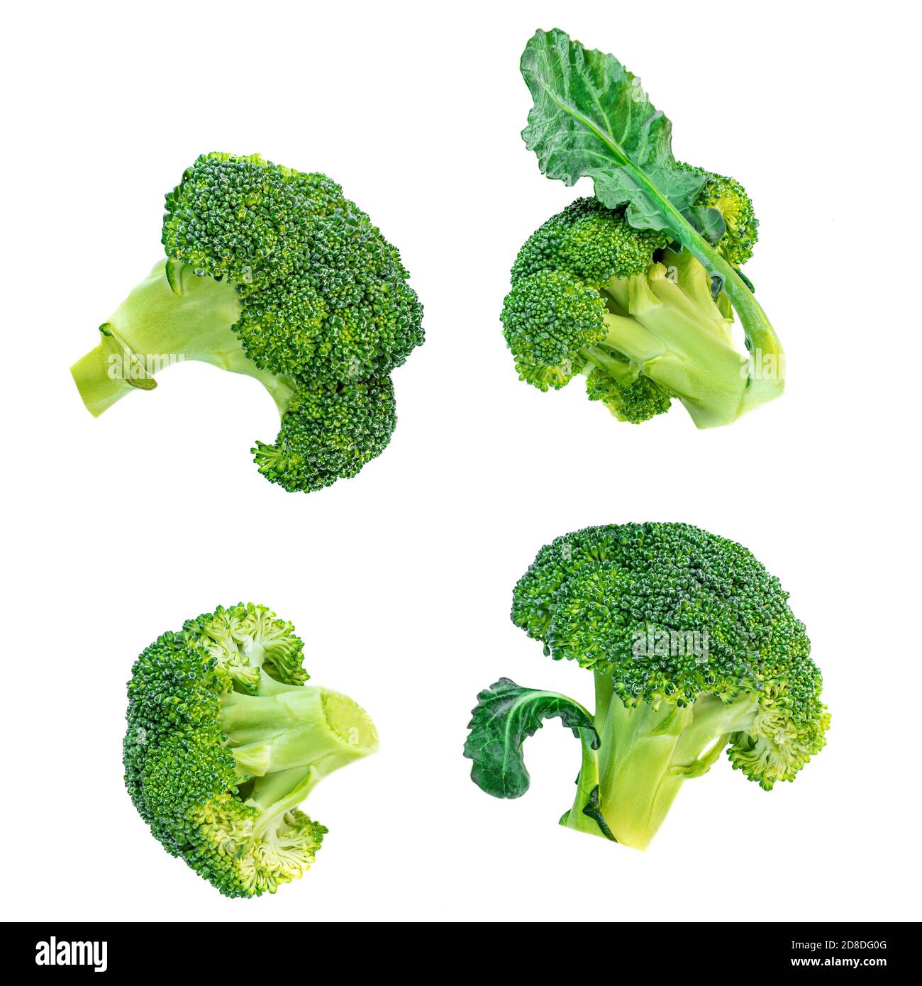 Brocoli isolé sur fond blanc. Collection de légumes crus de brocoli Banque D'Images