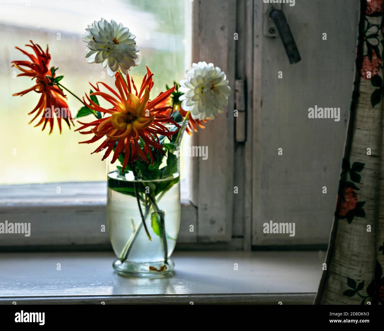 Fleurs d'automne défoquées dans un vase en verre sur le rebord de la fenêtre. Mise au point sélective. Gros plan Banque D'Images