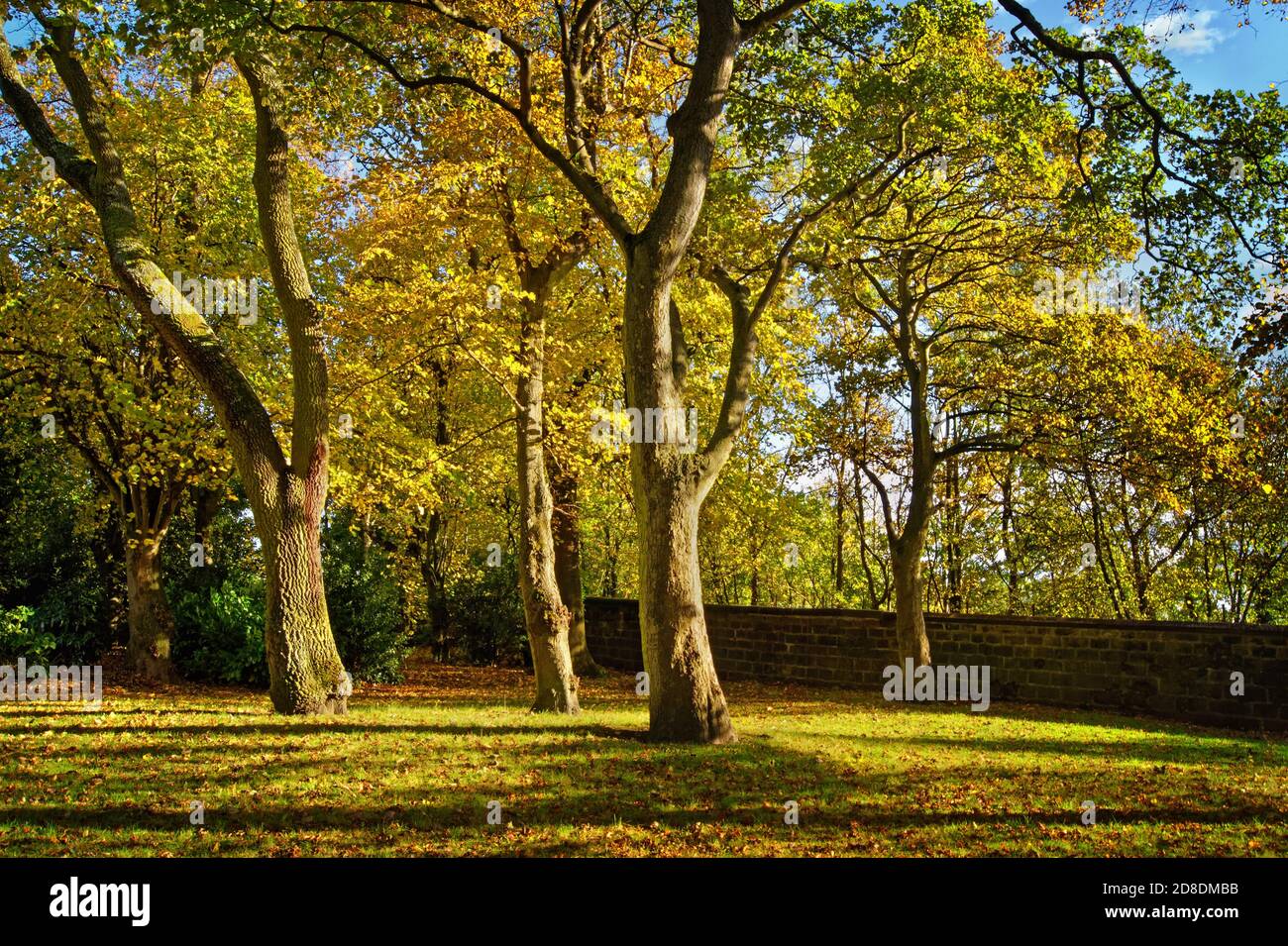 Royaume-Uni, Yorkshire du Sud, Barnsley, Locke Park en automne Banque D'Images