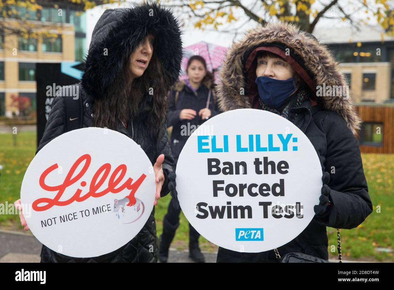 Bracknell, Royaume-Uni. 29 octobre 2020. Les partisans du PETA protestent devant le centre de R&D d’Eli Lilly pour appeler la société pharmaceutique américaine à interdire le test de nage forcé. PETA UK, organisme de bienfaisance dans le domaine des droits des animaux, soutient que le test de nage forcé au cours duquel les petits animaux sont dosés avec un médicament anti-dépresseur, placés dans des béchers incompétents remplis d'eau et contraints de nager pour éviter la noyade a été largement discrédité et que d'autres sociétés pharmaceutiques, notamment Johnson & Johnson, GlaxoSmithKline, Pfizer, Bayer, Roche et AstraZeneca l'ont interdit. Crédit : Mark Kerrison/Alamy Live News Banque D'Images