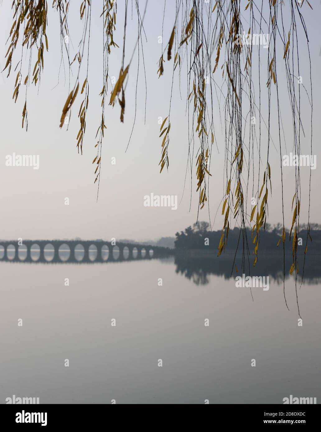 Pont de dix-sept arches traversant le lac Kunming au Palais d'été de Beijing, encadré de branches de saule et d'un espace pour la copie Banque D'Images
