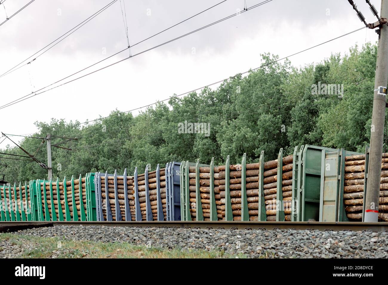 train de marchandises avec grumes. Chemin de fer avec wagons de marchandises. Transport des arbres Banque D'Images