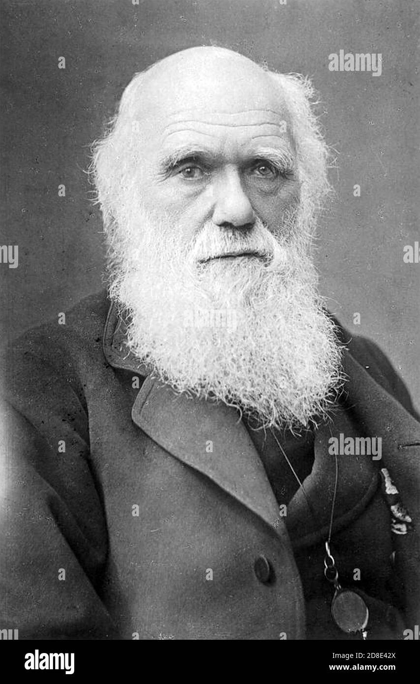 CHARLES DARWIN (1809-1882) naturaliste, géologue et biologiste anglais vers 1868 Banque D'Images