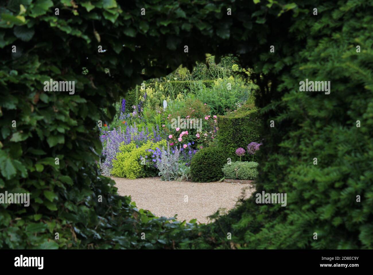 Bordure herbacée vue par une couverture formelle aux jardins du château d'Arundel. Banque D'Images