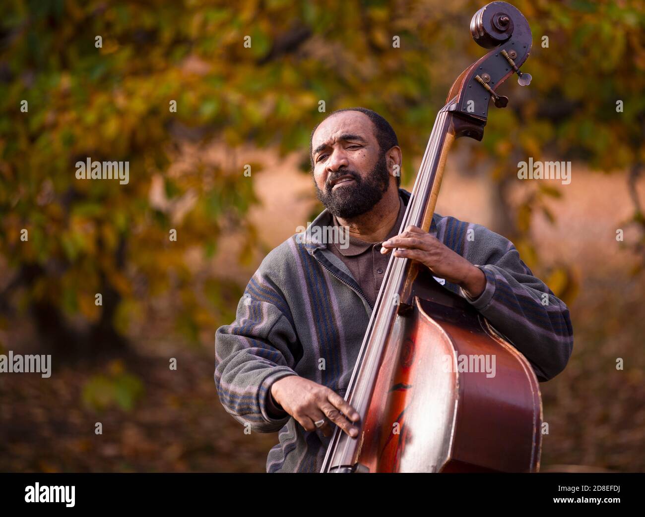 Jazz dans le parc Banque D'Images